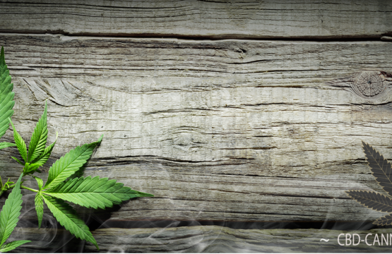 CBD products for sale in the UK