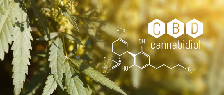 CBD-receptors