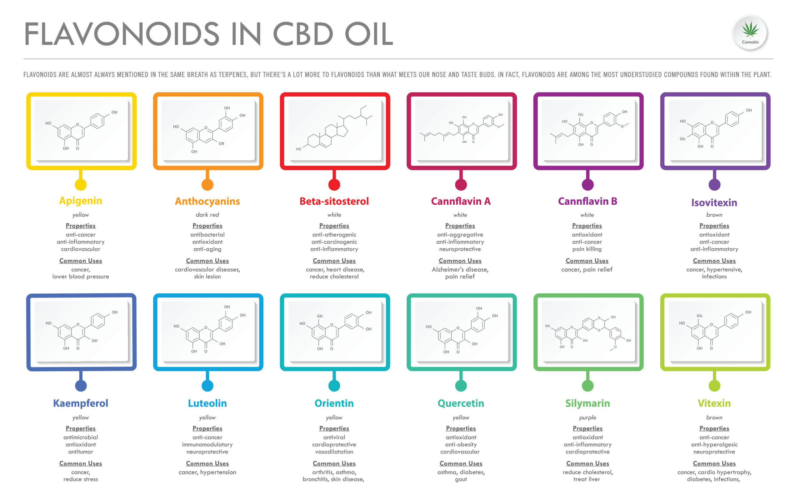 Flavonoids in CBD Oil with Structural Formulas horizontal business infographic illustration about cannabis as herbal alternative medicine and chemical therapy, healthcare and medical science vector.